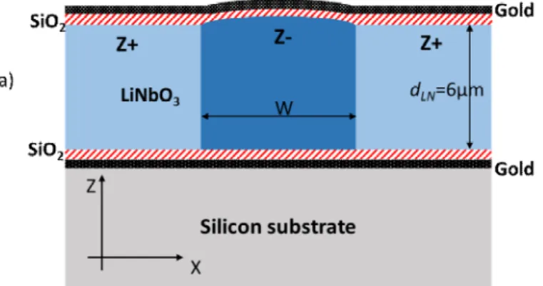 Fig. 1 : Coupe transversale schématique de la structure des guides accordables.                                     