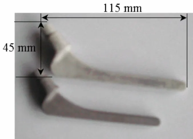 Fig. 4 The photos of the sintered  hip implant