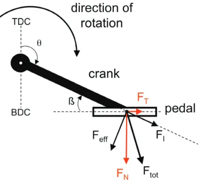 Figure 7. Représentation des  différentes composantes de la  force appliquée sur la pédale sur  un plan sagittal