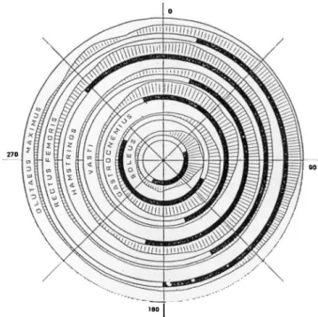 Figure 1. Activité électromyographique  de six muscles en fonction de l’angle de  la pédale (0° : point haut)