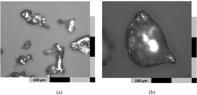 Figure II-1 :  Micrographies des particules d’Aluminium ; (a) Taille s comprises  entre 63 µm et 125 µm ; (b) Tailles comprises entre 125 µm et 250 µm