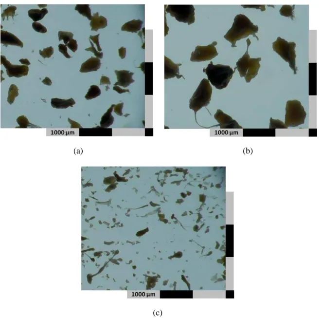 Figure II-2 : Micrographies des particules  de l’ABS ; (a) Taille s comprises entre 500 µm et  1000 µm ; (b) Tailles comprises entre 250 µm et 500 µm ; (c) Tailles comprises entre 125 µm 