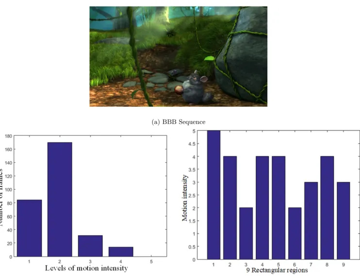 Figure 3.6 – The BBB sequence with its corresponding temporal distribution of activity and the spatial distribution of activity respectively