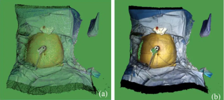 Figure 3.5 (a) A sample of 3D colored points, captured by Kinect in the operating room