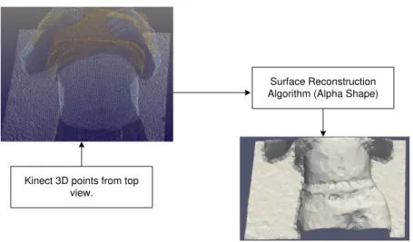 Figure 3.7 A sample set of 3D points and the generated 3D mesh by alpha shape algorithm (external 3D model) 