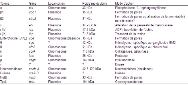 Tableau II : Toxines décrites chez C. perfringens  
