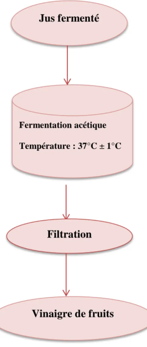 Figure )III.6(: Le diagramme représente le processus de fermentation acétique. 