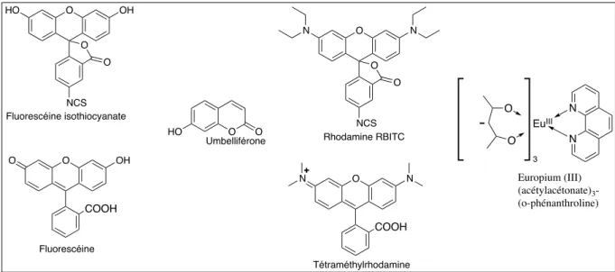 Figure 3 : Structures chimiques d’un chélate d’europium et des principales molécules organiques utilisées  comme sonde fluorescentes