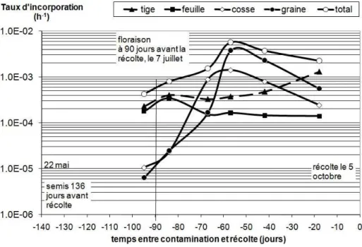 Figure  7  :  Variation  de  l’incorporation  du  tritium  organique  dans  des  plants  de  soja  en  fonction de l’organe et du stade de développement (Guétat et al., 2008b)