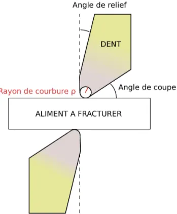 Figure   1.6.   Schéma   détaillant   la   mesure   du   tranchant   à   partir   du   rayon   de  courbure ρ (en rouge) et de l'angle de coupe