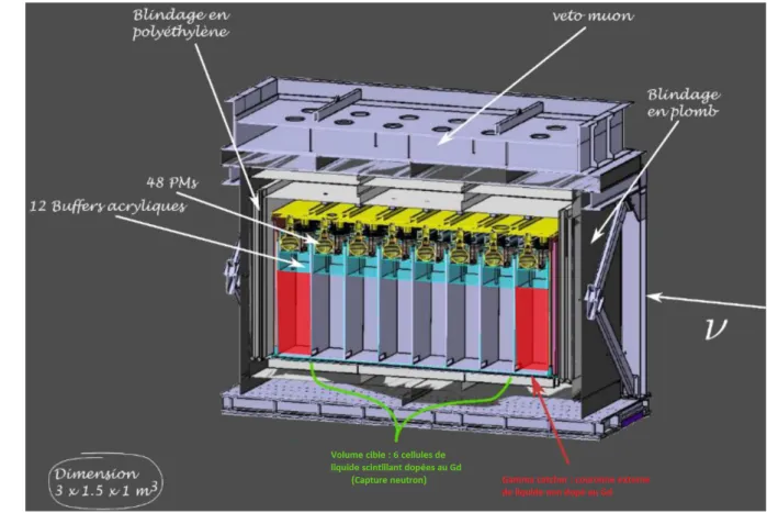 Figure 3.2: Vue en coupe du détecteur STEREO