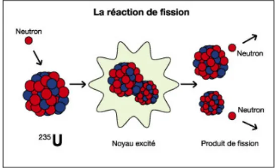 Figure 3.3: Fission de 235 U