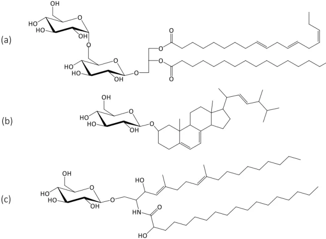 Figure 7 : Glycolipides avec des motifs diacylglycérol, stérol et céramide comme  partie hydrophobe
