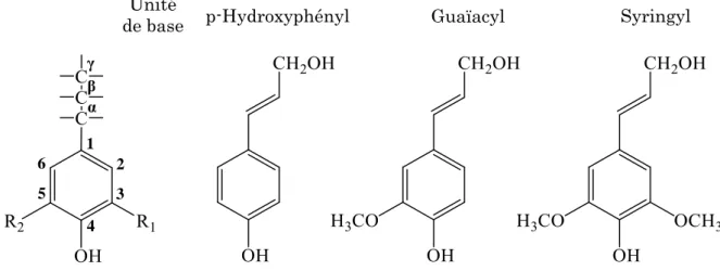 Figure 8 : Unités phénylpropane à la base des lignines et alcools cinnamiques  correspondants ; R 1 =R 2 = H : H-p ; R 1 = OCH 3 , R 2 = H : G-p ; R 1 = R 2 = OCH 3  : S-p