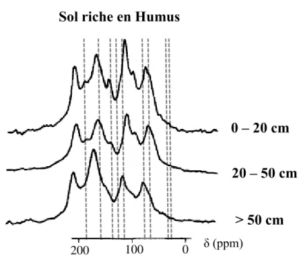 Figure 16 : Spectres RMN  13 C du solide de différents horizons de sols de la région  de Halle, Allemagne (d’après Schmidt et al