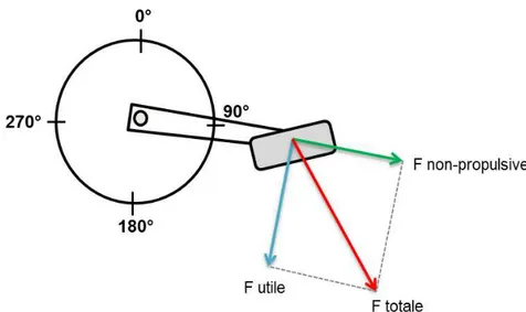 Figure 2  Représentation schématique de la notion de ‘force utile’ à la manivelle. La force totale (en rouge)  produite par le cycliste et appliquée à la manivelle peut être décomposée en une force utile (en bleu) et une force 