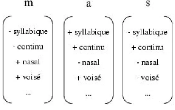 Figure 9 : Représentation interne des segments dans le cadre de SPE (Chomsky &amp; Halle, 1968).