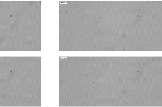 Fig. 15: Magnetophor` ese : images extraites ` a intervalles r´ eguliers du film