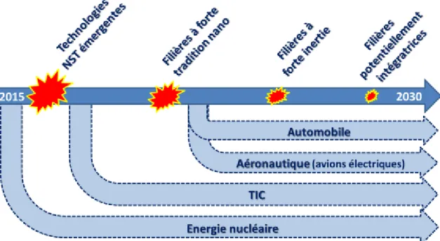 Figure 1 : Quelques exemples de filières industrielles utilisant des NST pouvant être structurées par  les grands groupes