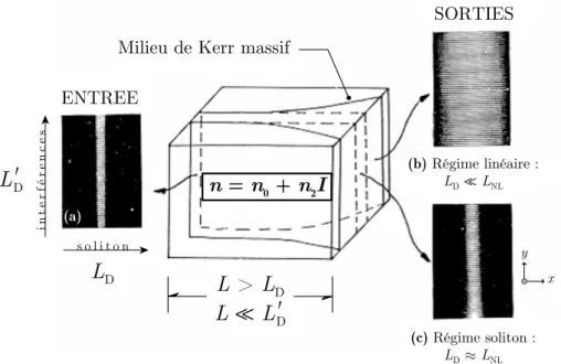 Figure 1.5 [d’après 6 ] Formation d’un soliton Kerr unidimensionnel par inhibition de son  instabilité de modulation transverse