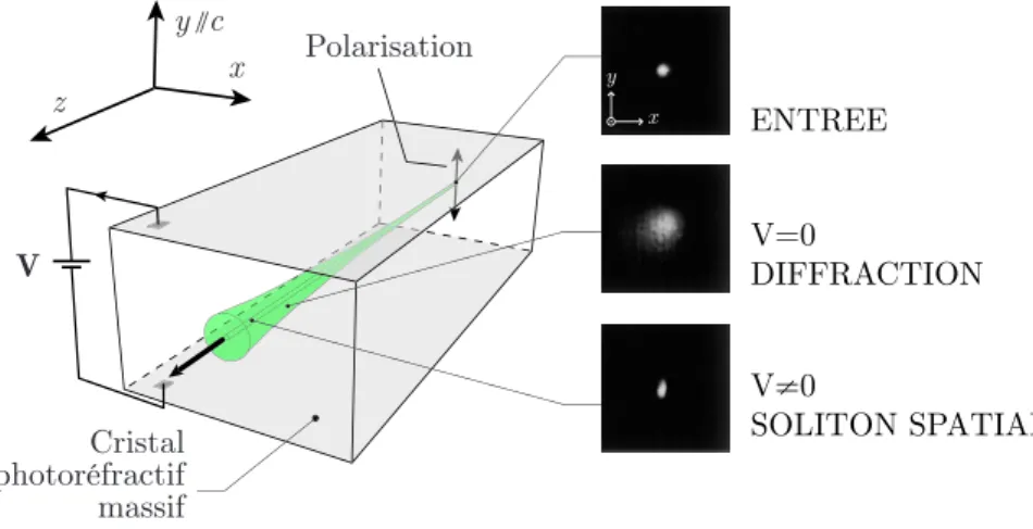 Figure 1.10 Génération d’un soliton 2D dans un cristal photoréfractif. Les photographies  montrent l’exemple de l’utilisation d’un cristal de KNbO 3 :Fe