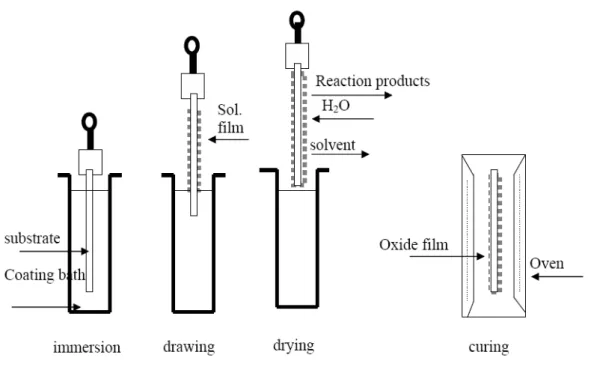 Figure 1.9 : Les différentes étapes de dépôt d’une couche mince par trempage