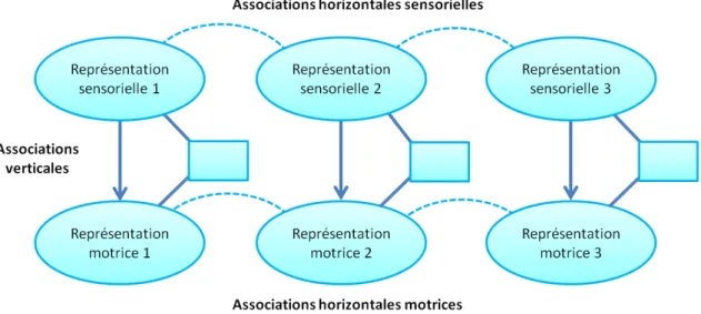 Figure 3.  Associations verticales et horizontales, selon le modèle ASL. 