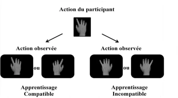 Figure 14. Illustration de la phase d’acquisition.