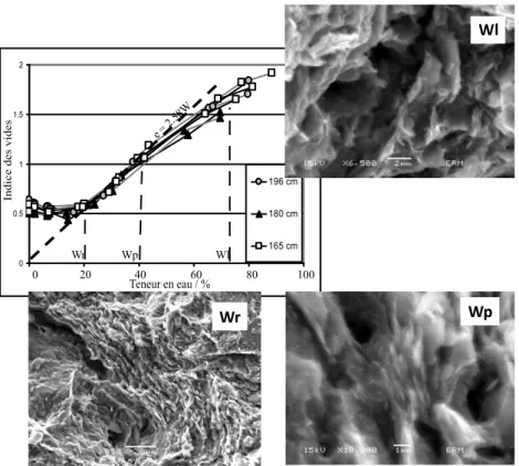 Figure I.12 : Représentation des évolutions de microstructure de matrice argileuse du Bri (St  Laurent de la Prée) le long de la courbe de retrait entre les états à la limite de liquidité (Wl),  limite  de  plasticité  (Wp)  et  limite  de  retrait  (Wr)