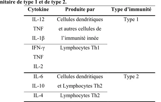 Tableau  4 IV. Principales cytokines jouant un rôle dans le développement de la réponse  immunitaire de type 1 et de type 2