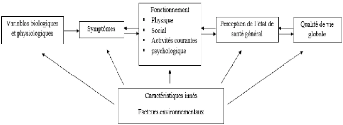 Figure 1. Modification du modèle de Wilson et Cleary indiquant le potentiel d’une  interaction à double sens entre plusieurs composantes d’un modèle  