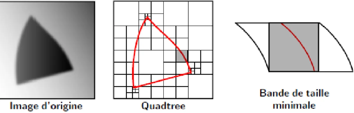 Figure 2.3 : Exemple de segmentation en quadtree et bande de taille minimale pour la  construction de la base de bandelette [30]
