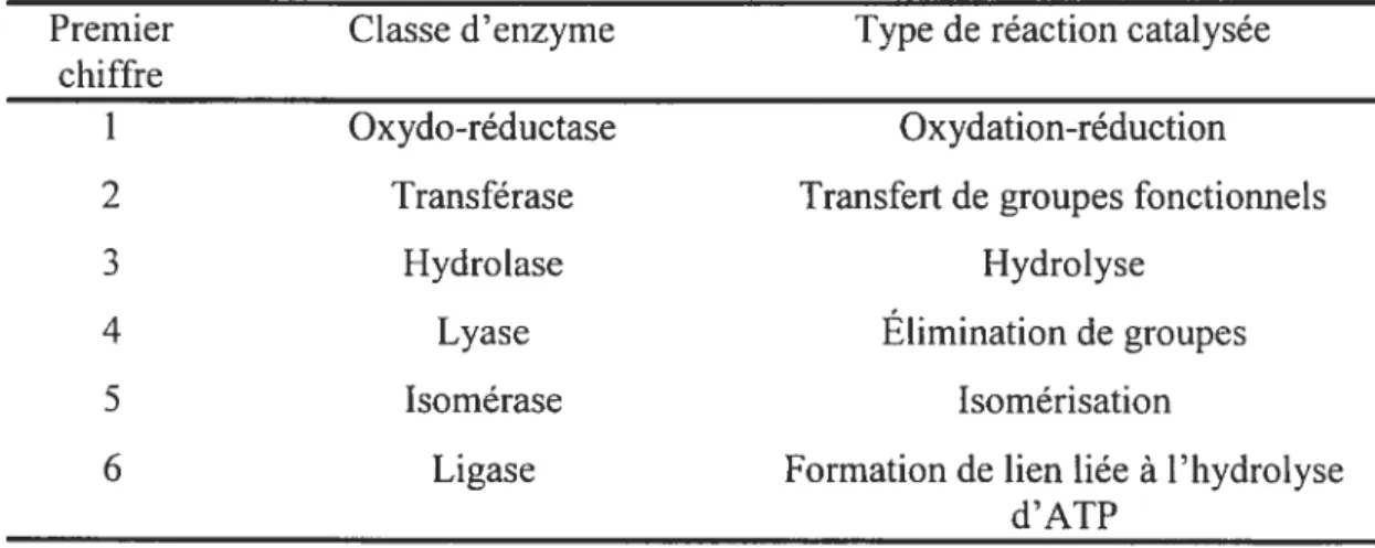 Tableau I. Classification des enzymes selon le type de réaction catalysée3.
