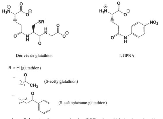 Figure 1. Substrats donneurs de la GGT : les dérivés du glutathion et le L-y-glutamyl-p-nitroanilide (L-GPNA).