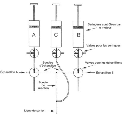 Figure 7. Représentation d’un mélangeur à inhibition rapide (&lt; rapid-mix quencher »)96