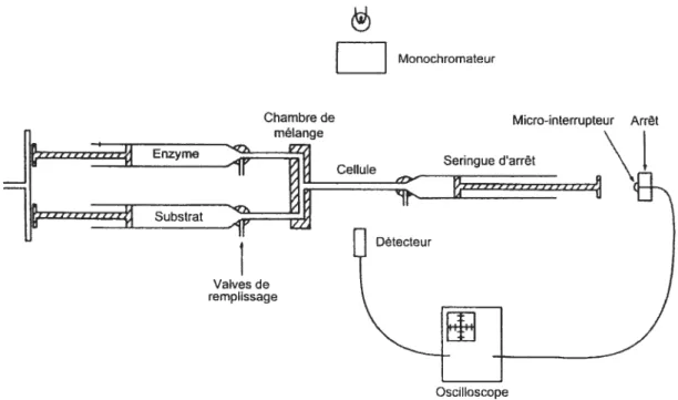 Figure 9. Représentation d’un mélangeur à flux arrêté (« stopped-flow Les explications pour le fonctionnement de l’appareil se retrouvent dans le texte.