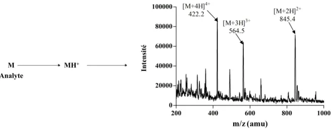 Figure 13 : Mecanisme d’ionisation en spectrometrie de masse (Dunham et al. 2012) [85]