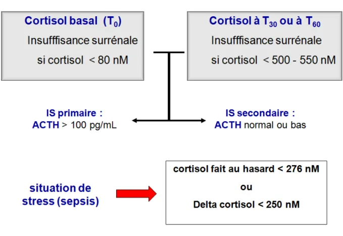 Figure V : Diagnostic de l’insuffisance surrénale (IS) avec le test au Synacthène 