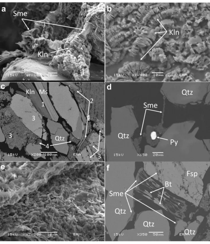 Figure II-4. SEM observations of authigenic clay minerals. a) Smectite coating on vermicular kaolinite  (Kln) (fine sand)