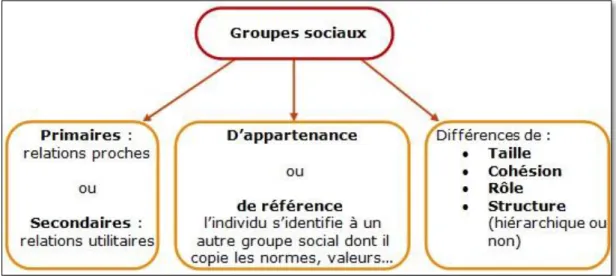 Figure 2 : La diversité des groupes sociaux.  [8]