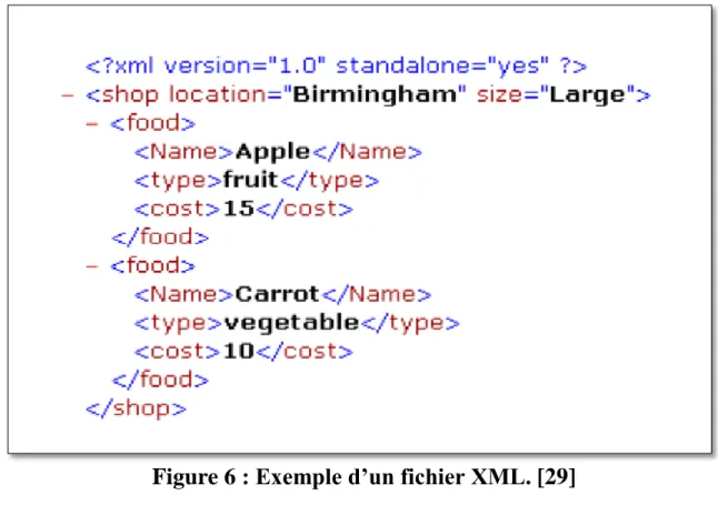 Figure 6 : Exemple d’un fichier XML. [29]