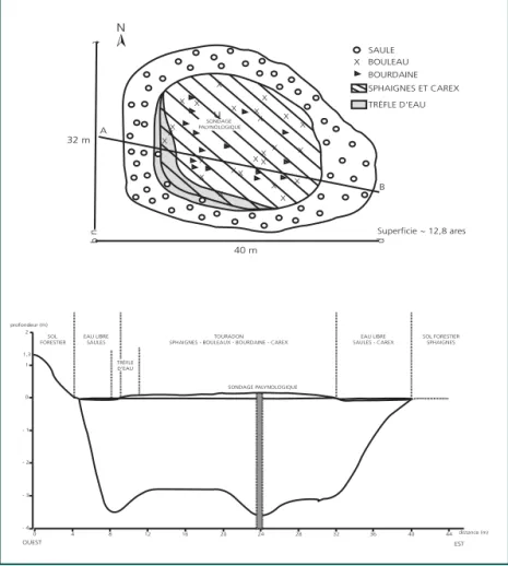 Figure 2 : Cartographie des zones de végétation et profil de la mardelle.