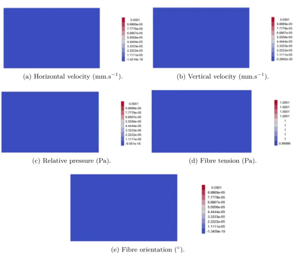 Figure 2.5 – Results of the traction along the fibre direction using a continuous interpola- interpola-tion for the fibre tension.