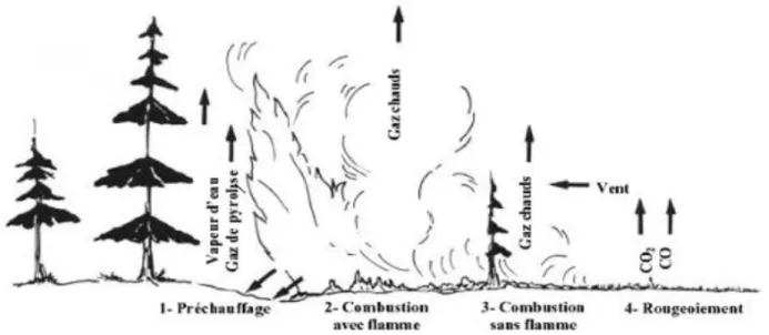 Fig. I.13. Représentation des différentes zones composant l’avance du front de flamme (Ward,  1986) 