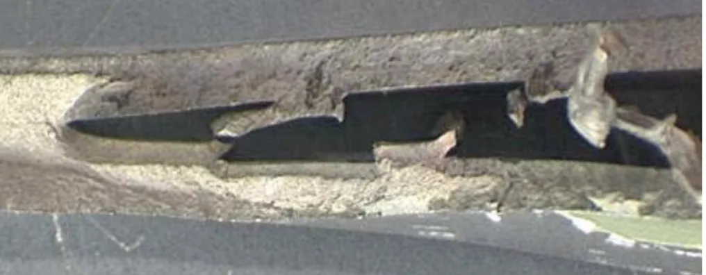 figure 21  Rupture des raidisseurs de l’aube adjacente par cisaillement et flambage. 
