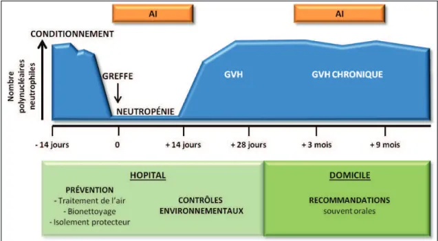 Figure 8 : Schéma de l’incidence bimodale de l’Aspergillose invasive chez un patient allogreffé en  fonction de l’état immunitaire du patient et des mesures environnementales prises