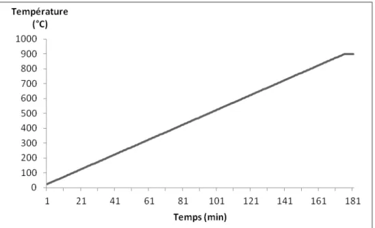 Figure II-4: Rampe de montée en température durant les analyses  thermiques 