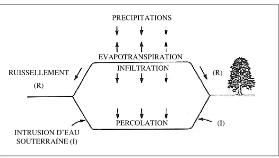 Figure 1.9 : Schéma présentant les mécanismes de la genèse des lixiviats (Farquhar, 1989)PRECIPITATIONS EVAPOTRANSPIRATION INFILTRATION RUISSELLEMENT (R) (R) PERCOLATION INTRUSION D’EAU SOUTERRAINE (I) (I) 