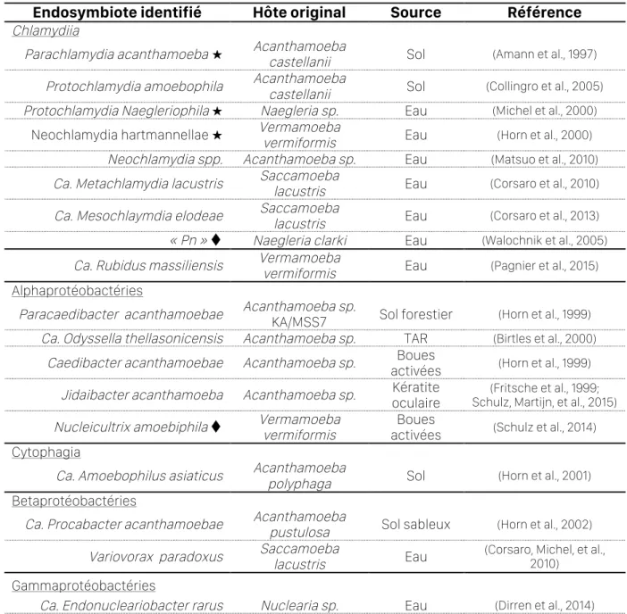 Tableau  4  :  Diversité  des  endosymbiotes  bactériens  isolés  naturellement  au  sein  des  amibes libres dans l’environnement