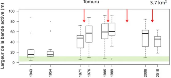 Figure 11 :  Évolution de la largeur de bande active de la Tomuru, affluent de rive gauche  de la Thio, entre 1943 et 2015 